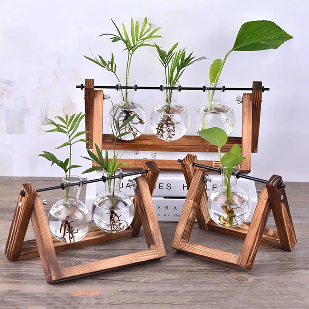 🌿 Terrario de Mesa de Vidrio con Marco de Madera | Jarrón Hidropónico Decorativo para Hogar y Oficina