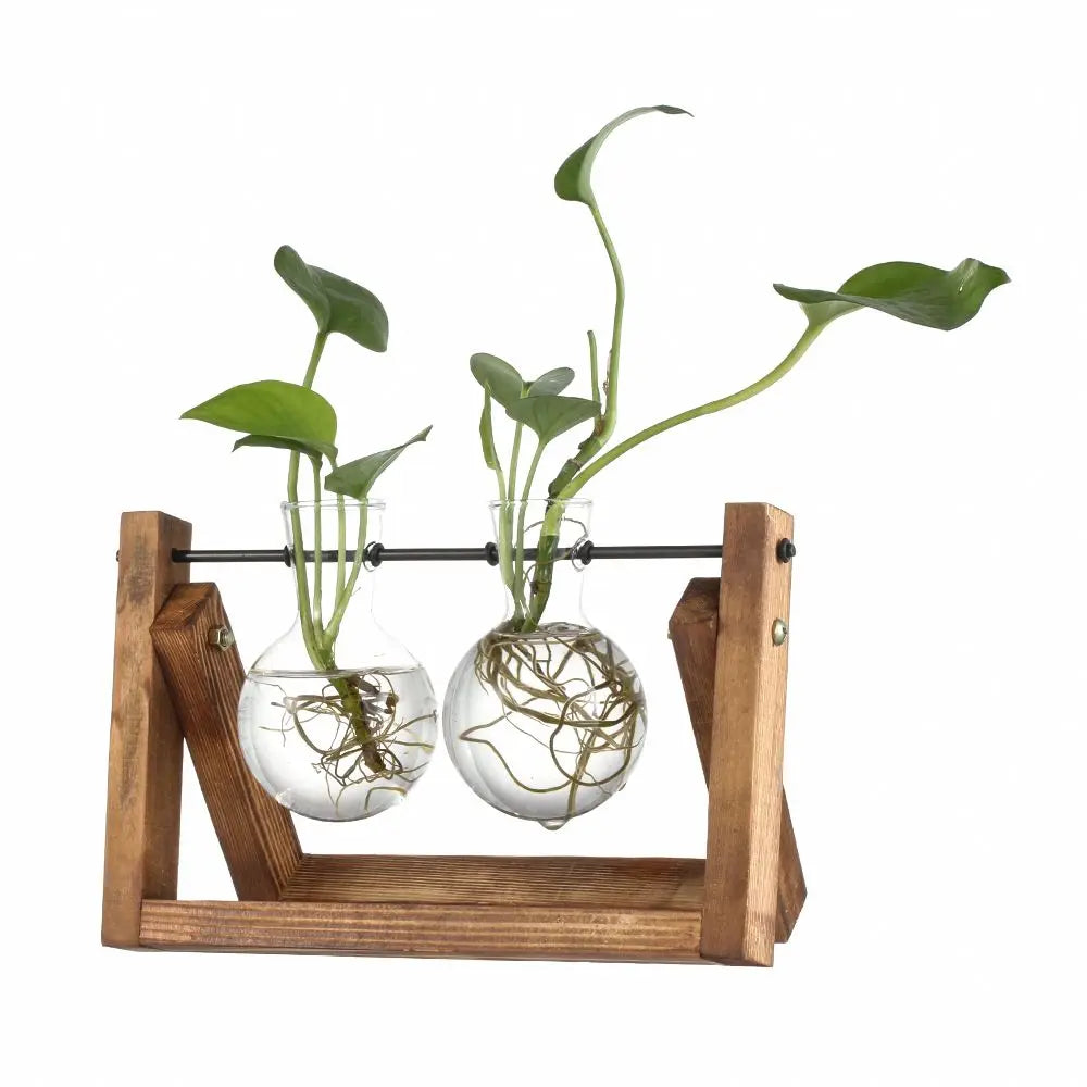 🌿 Terrario de Mesa de Vidrio con Marco de Madera | Jarrón Hidropónico Decorativo para Hogar y Oficina