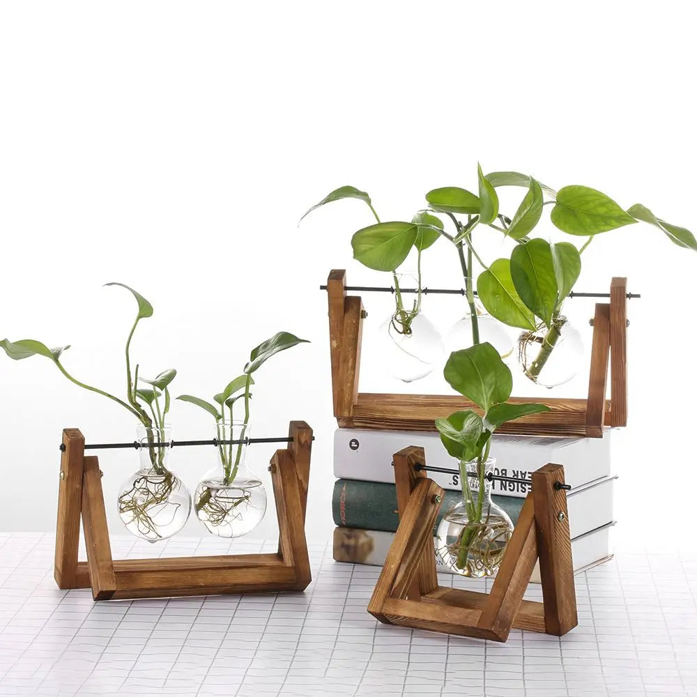 🌿 Terrario de Mesa de Vidrio con Marco de Madera | Jarrón Hidropónico Decorativo para Hogar y Oficina