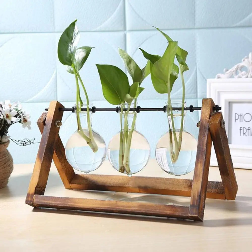 🌿 Terrario de Mesa de Vidrio con Marco de Madera | Jarrón Hidropónico Decorativo para Hogar y Oficina