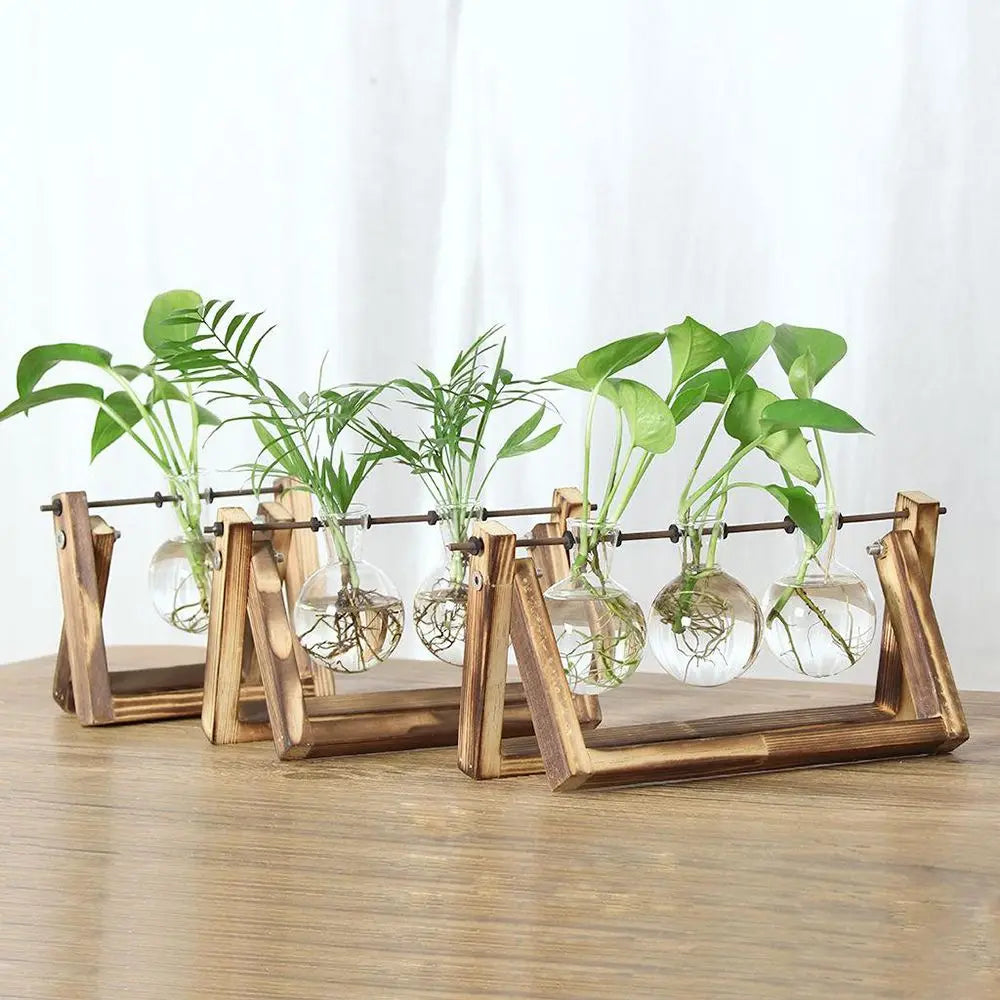 🌿 Terrario de Mesa de Vidrio con Marco de Madera | Jarrón Hidropónico Decorativo para Hogar y Oficina