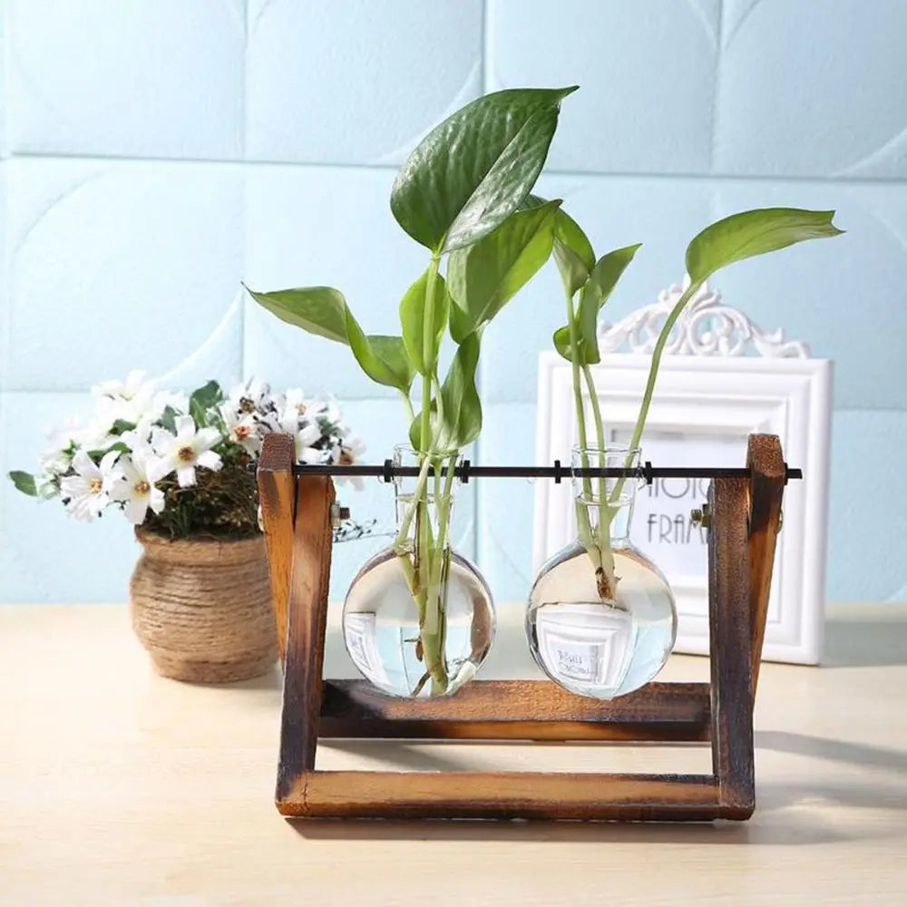 🌿 Terrario de Mesa de Vidrio con Marco de Madera | Jarrón Hidropónico Decorativo para Hogar y Oficina