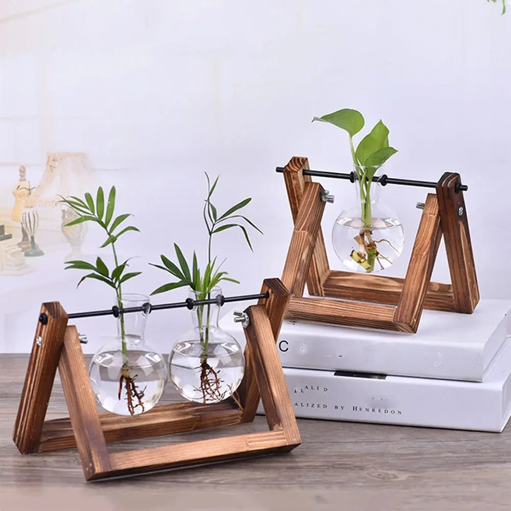 🌿 Terrario de Mesa de Vidrio con Marco de Madera | Jarrón Hidropónico Decorativo para Hogar y Oficina